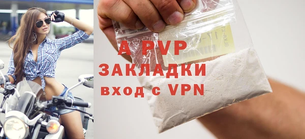 прущие грибы Тавда