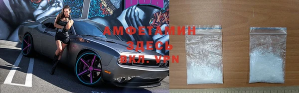 прущие грибы Тавда
