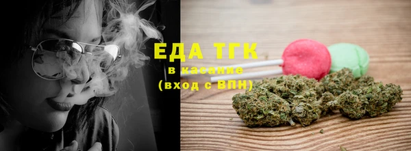прущие грибы Тавда