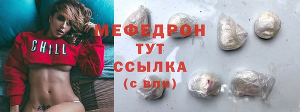 прущие грибы Тавда