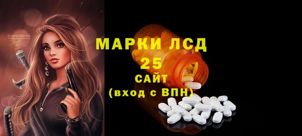 прущие грибы Тавда