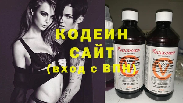 прущие грибы Тавда