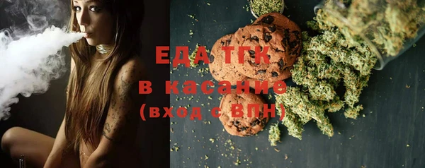 прущие грибы Тавда