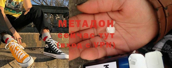 прущие грибы Тавда