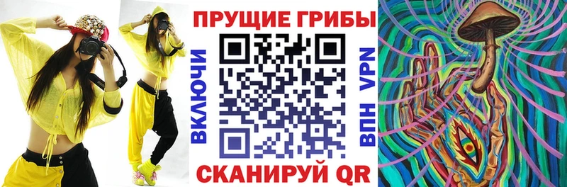 Галлюциногенные грибы Magic Shrooms  Купить где  Рузаевка 