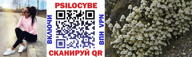Псилоцибиновые грибы MAGIC MUSHROOMS Рузаевка